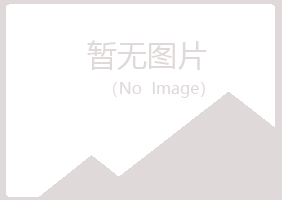 西林区冰夏采矿有限公司